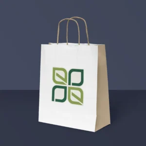 Twisted Handle White Paper Bag (18×23+8 cm)