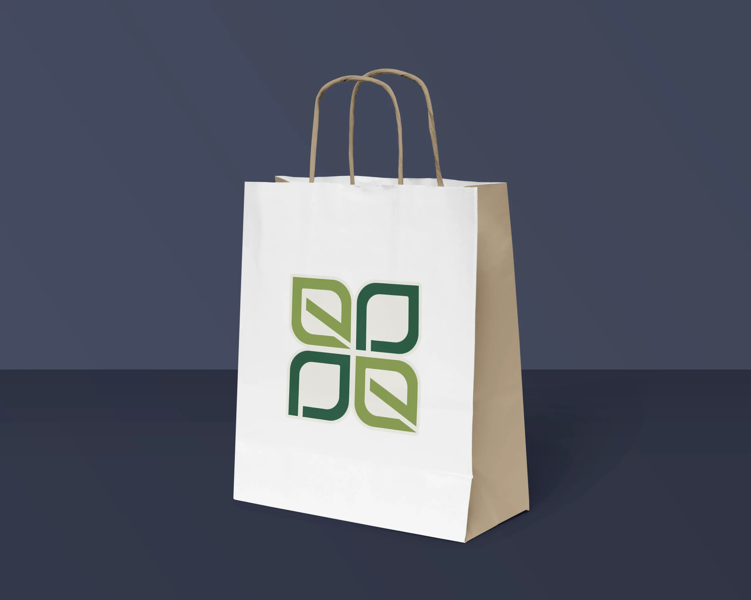 Twisted Handle White Paper Bag (32x26+21 cm)