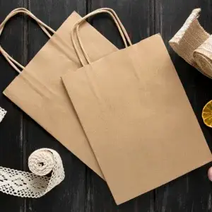 Twisted Handle Kraft Paper Bag (18×23+8 cm)