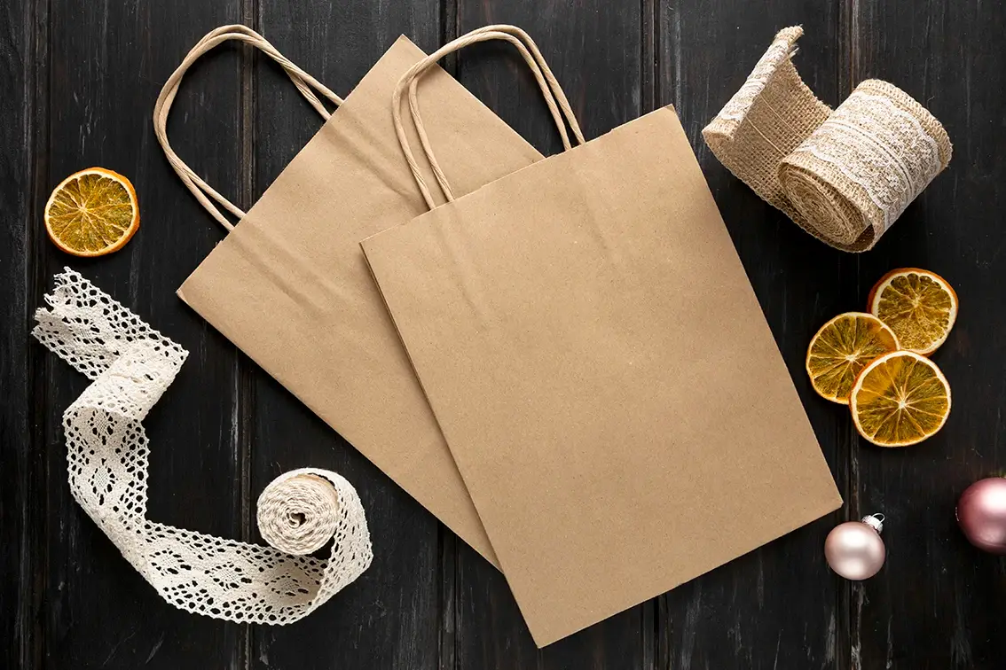 Twisted Handle Kraft Paper Bag (22×28+10 cm)